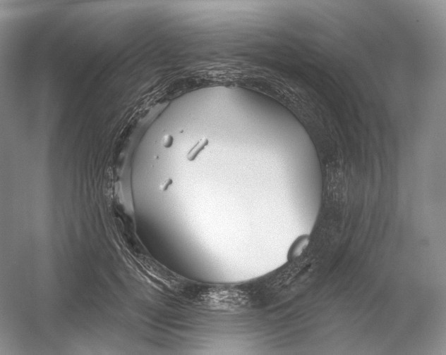 X0000054360752200508262314