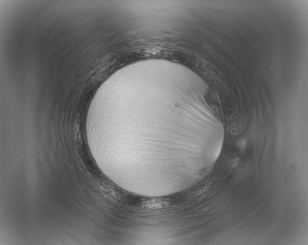 X0000054360754200508262314