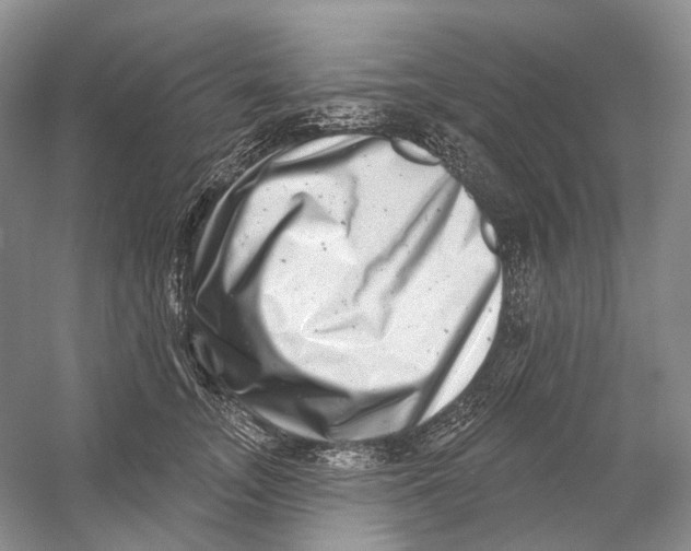 X0000054360755200508262314