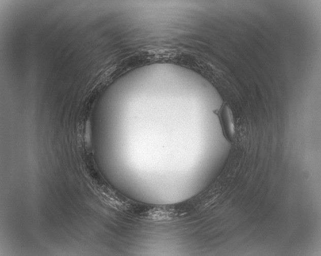 X0000054360756200508262314