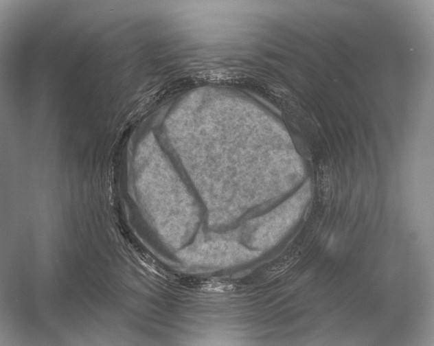 X0000054360760200508262314