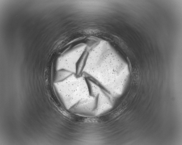 X0000054360762200508262314
