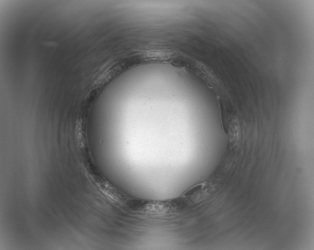 X0000054360764200508262314