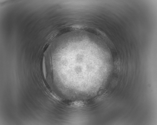 X0000054360765200508262314