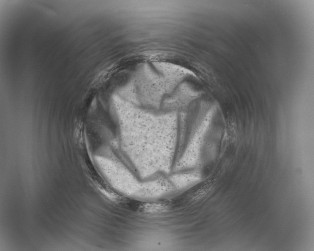 X0000054360766200508262315