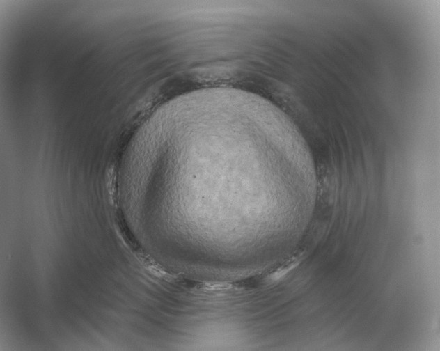 X0000054360767200508262315