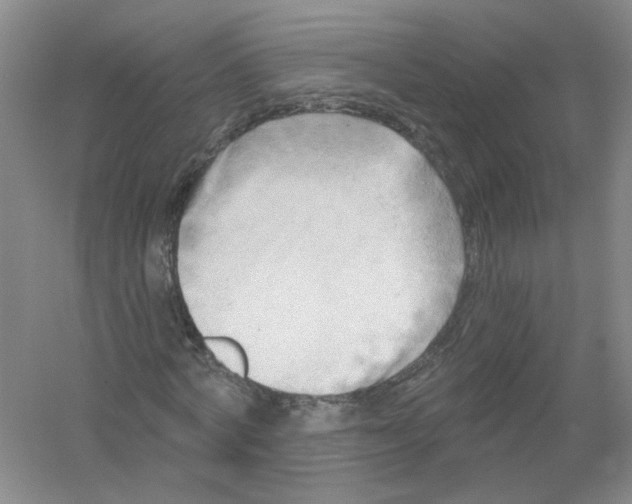 X0000054360772200508262314