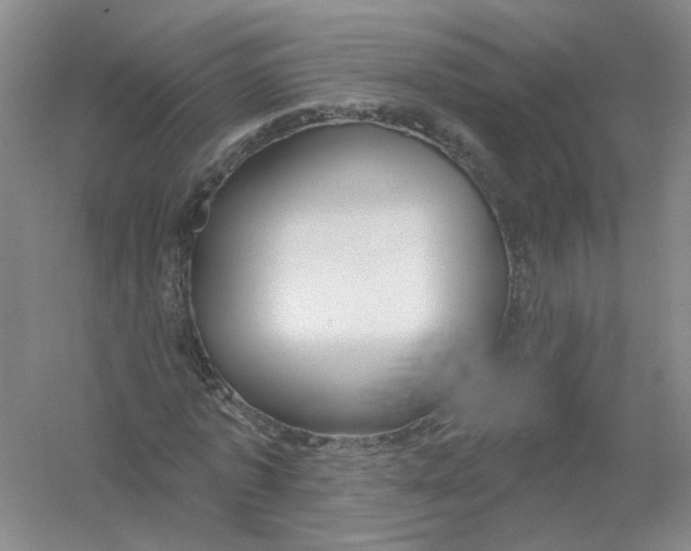 X0000054360773200508262314