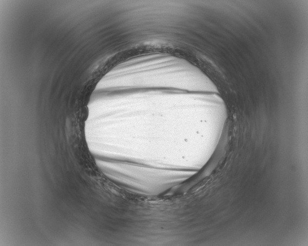 X0000054360776200508262314