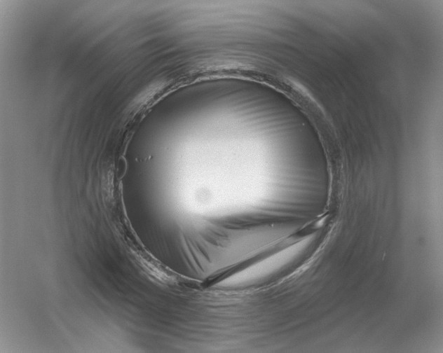 X0000054360777200508262314