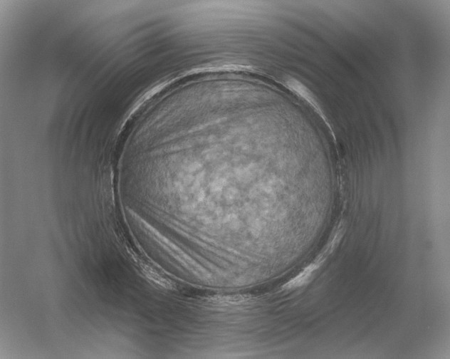 X0000054360781200508262314