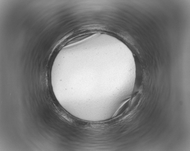 X0000054360782200508262313