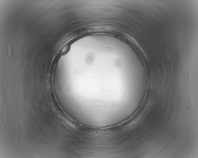 X0000054360786200508262313