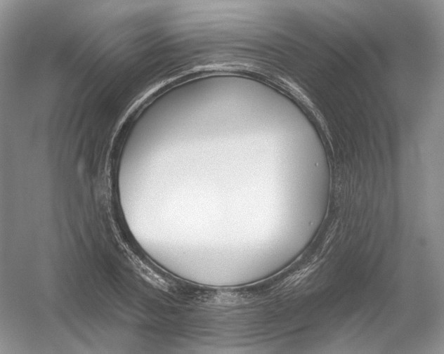X0000054360787200508262313