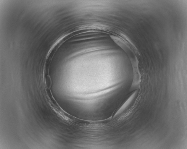 X0000054360788200508262313