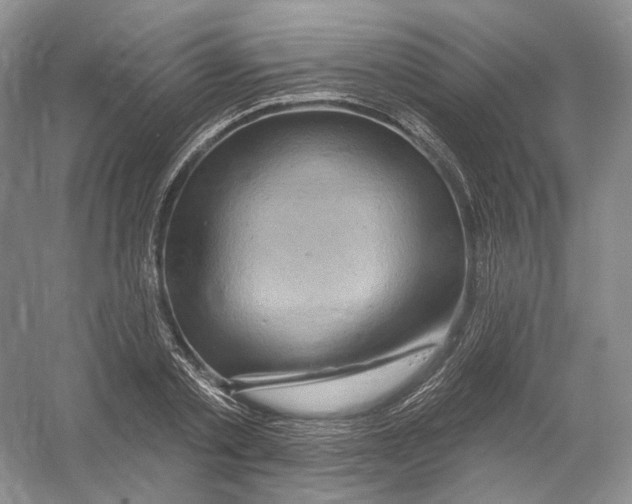 X0000054360789200508262313
