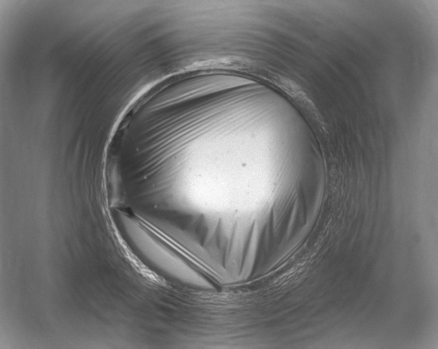 X0000054360792200508262313