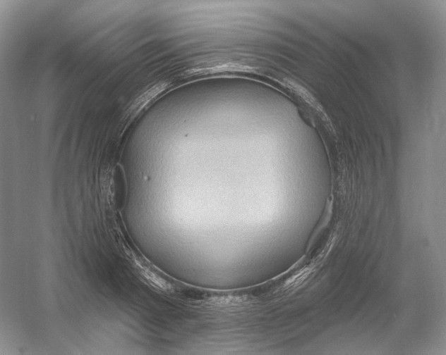 X0000054360793200508262313