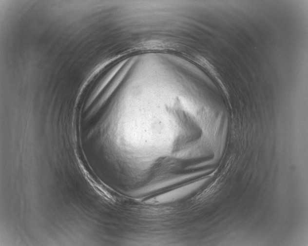 X0000054360795200508262313