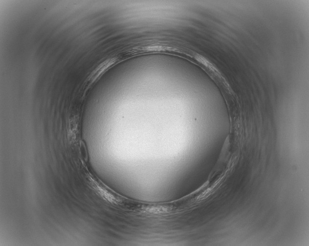 X0000054360801200508262313