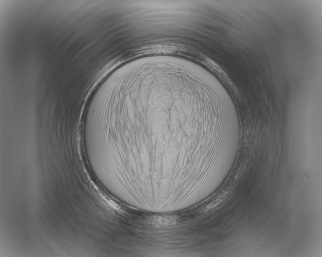 X0000054360802200508262313