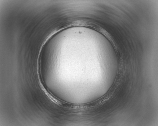 X0000054360803200508262313