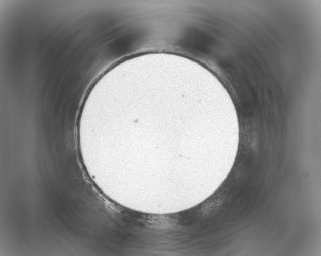 X0000054360807200508262313