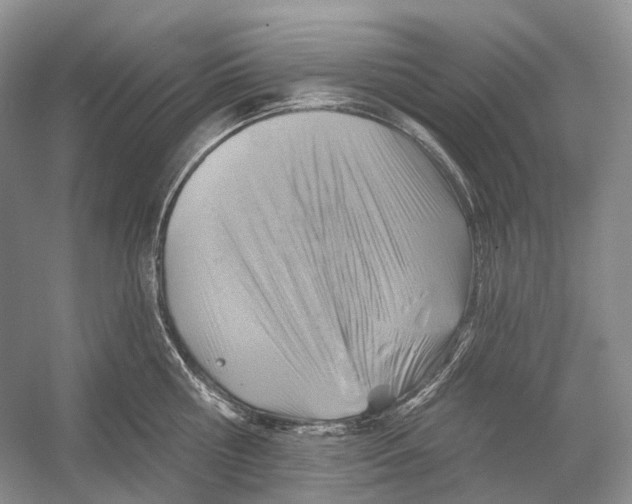 X0000054360810200508262313