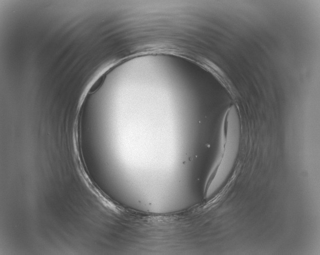 X0000054360812200508262313