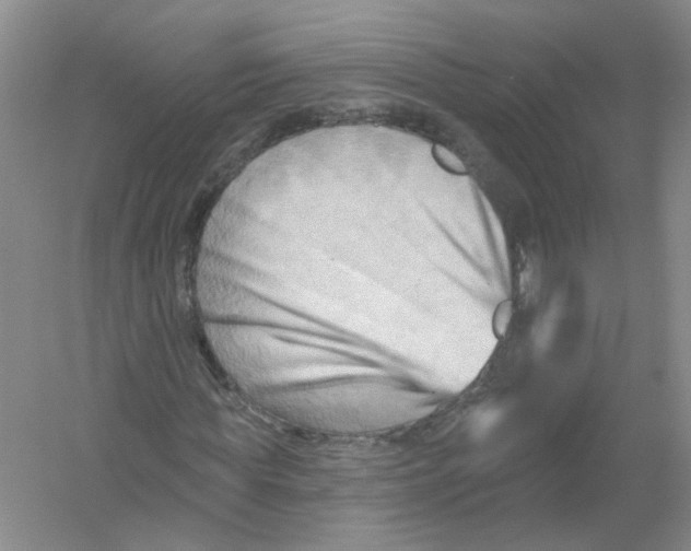 X0000054360819200508262312