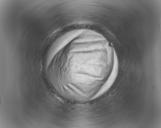 X0000054360821200508262312