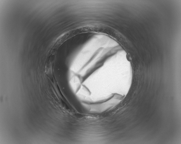 X0000054360822200508262312