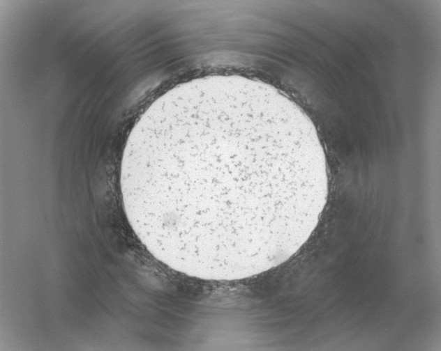 X0000054360824200508262312