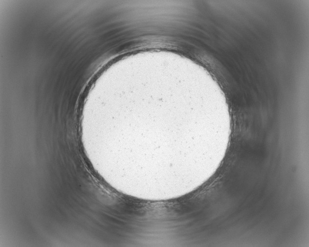 X0000054360828200508262312