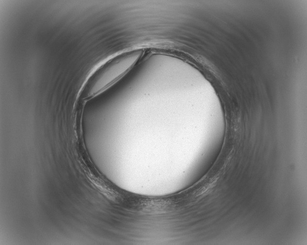 X0000054360830200508262312