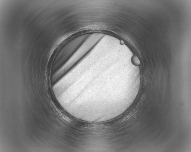 X0000054360831200508262312
