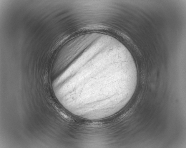 X0000054360833200508262312