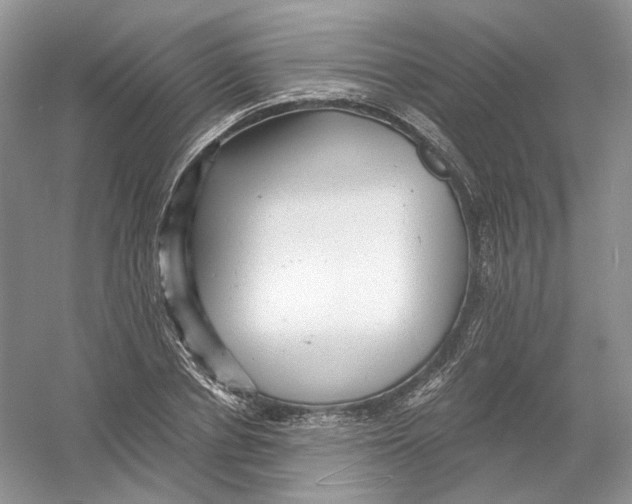 X0000054360834200508262312