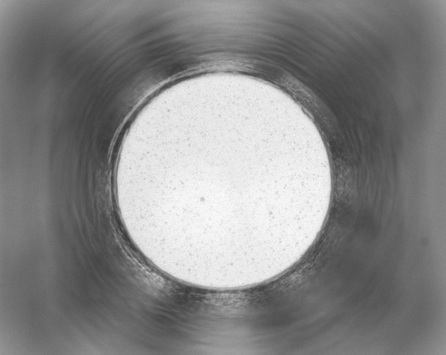 X0000054360836200508262312