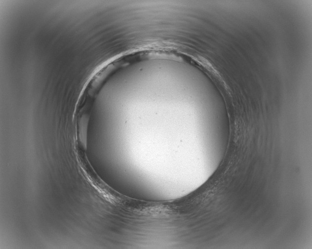 X0000054360838200508262312