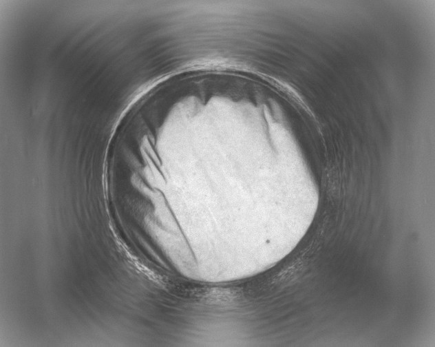 X0000054360839200508262312