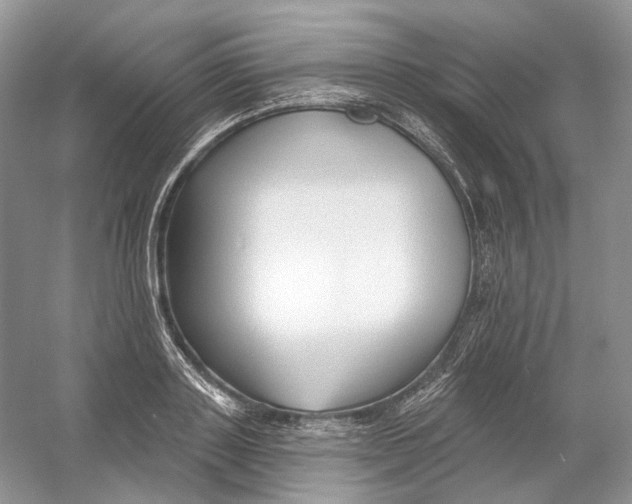 X0000054360843200508262313