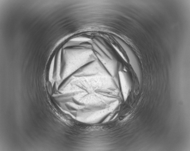 X0000054360846200508262313