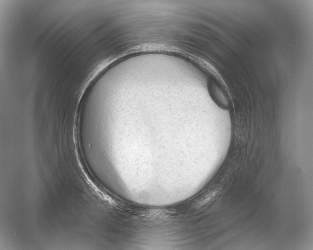 X0000054360847200508262313