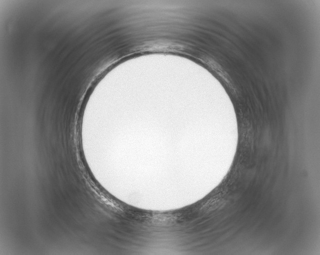 X0000054360848200508262313