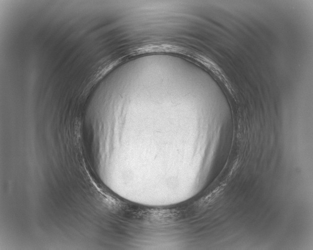 X0000054360849200508262313