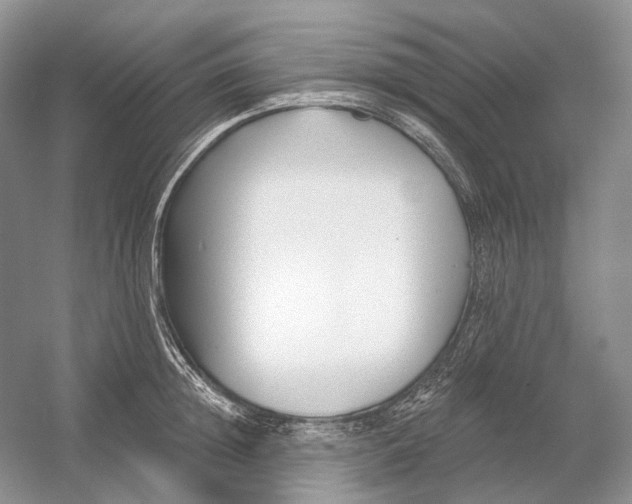 X0000054360852200508262313