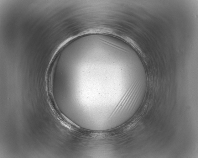 X0000054360854200508262313