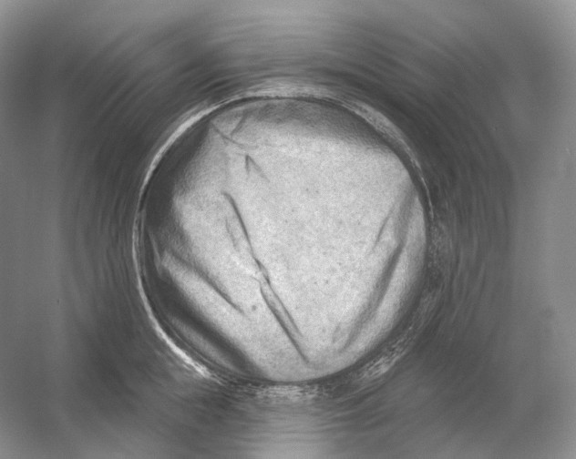 X0000054360855200508262313