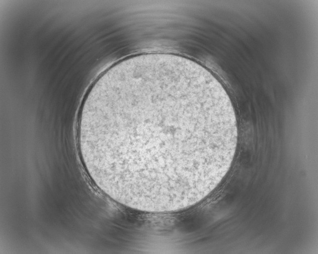 X0000054360856200508262313